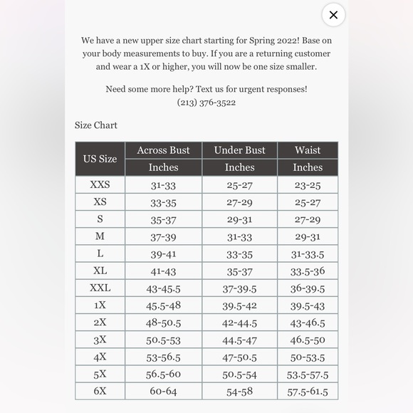 RARE & NWT Selkie Caviar Organdy French Puff Dress XXS - Picture 13 of 14